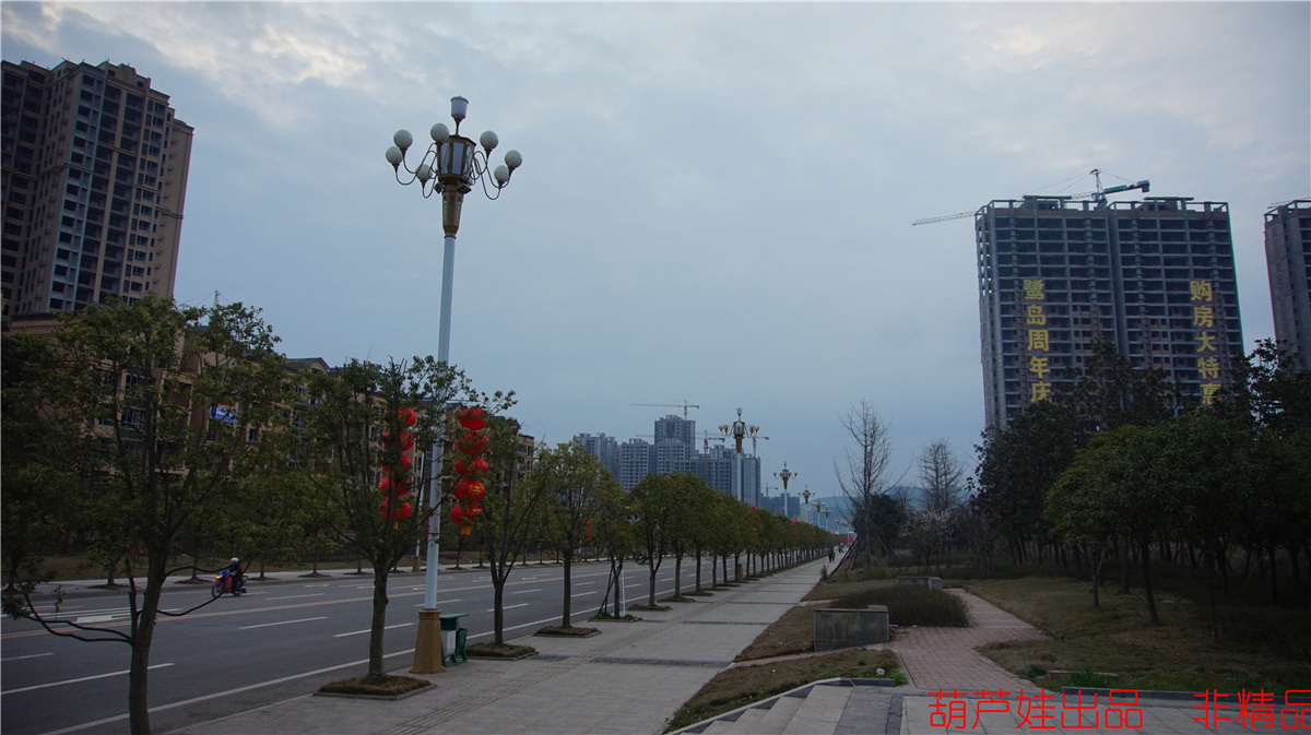 DSC02166.jpg