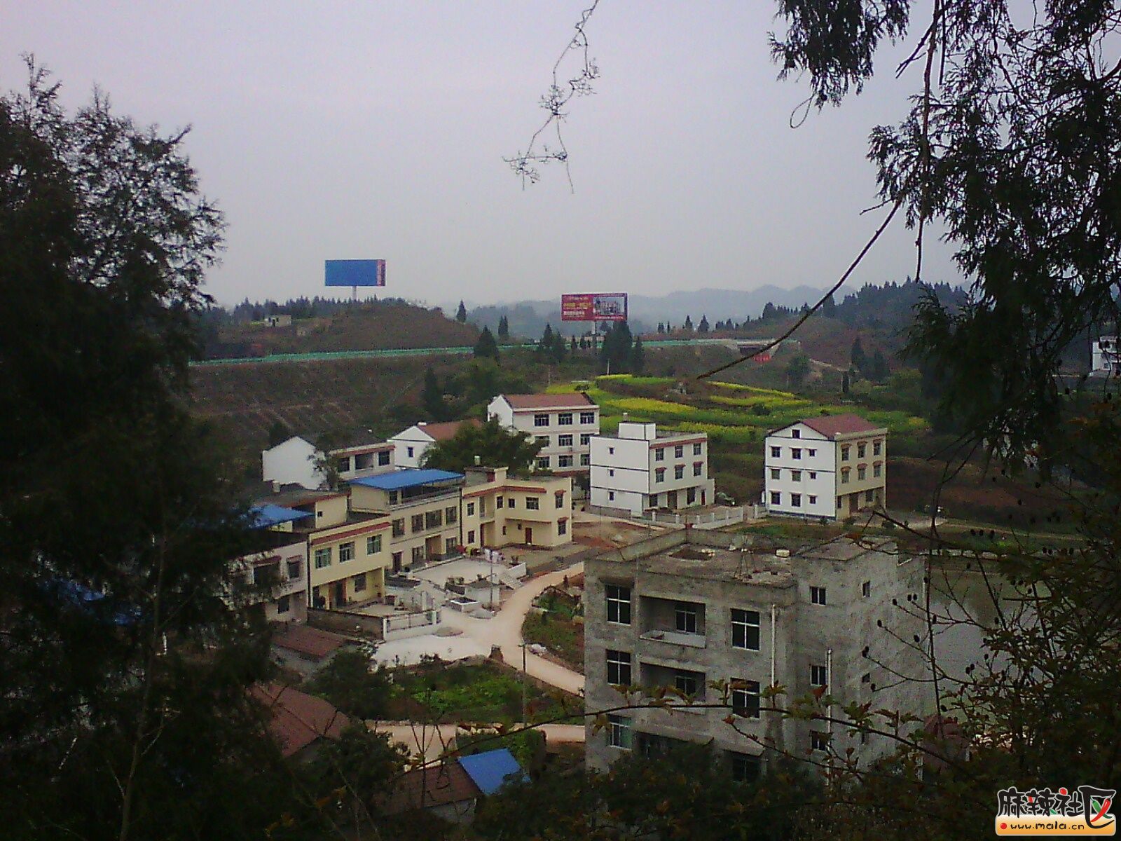 IMG19629.jpg