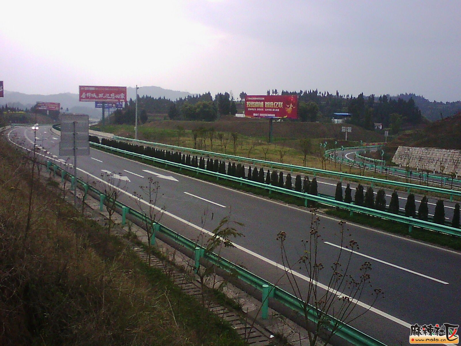 IMG19716.jpg