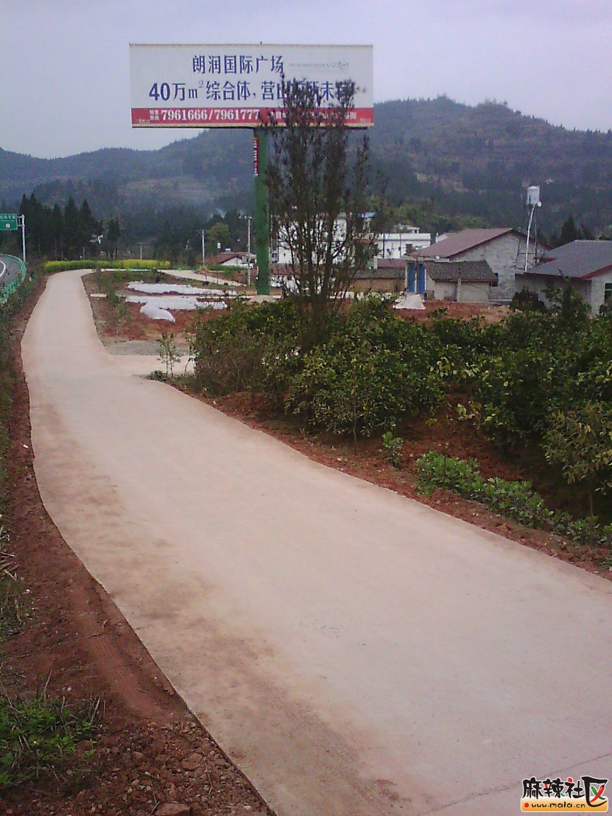 IMG19718.jpg