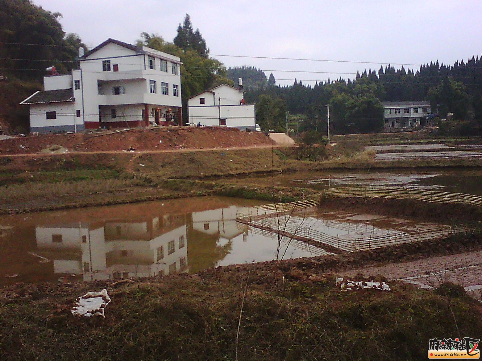 IMG19735.jpg