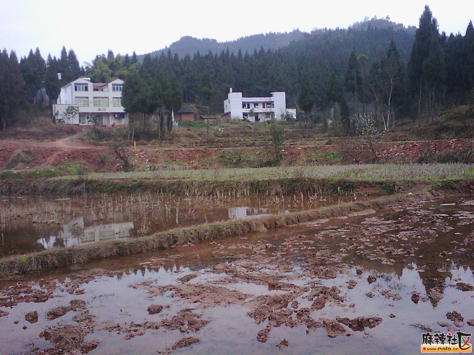 IMG19737.jpg