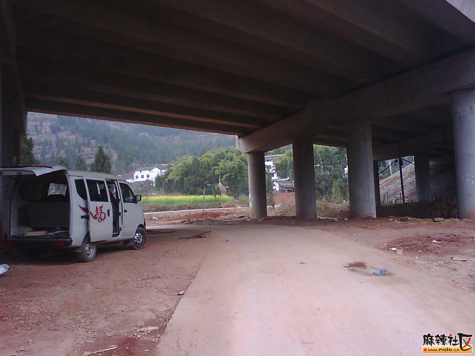IMG19739.jpg