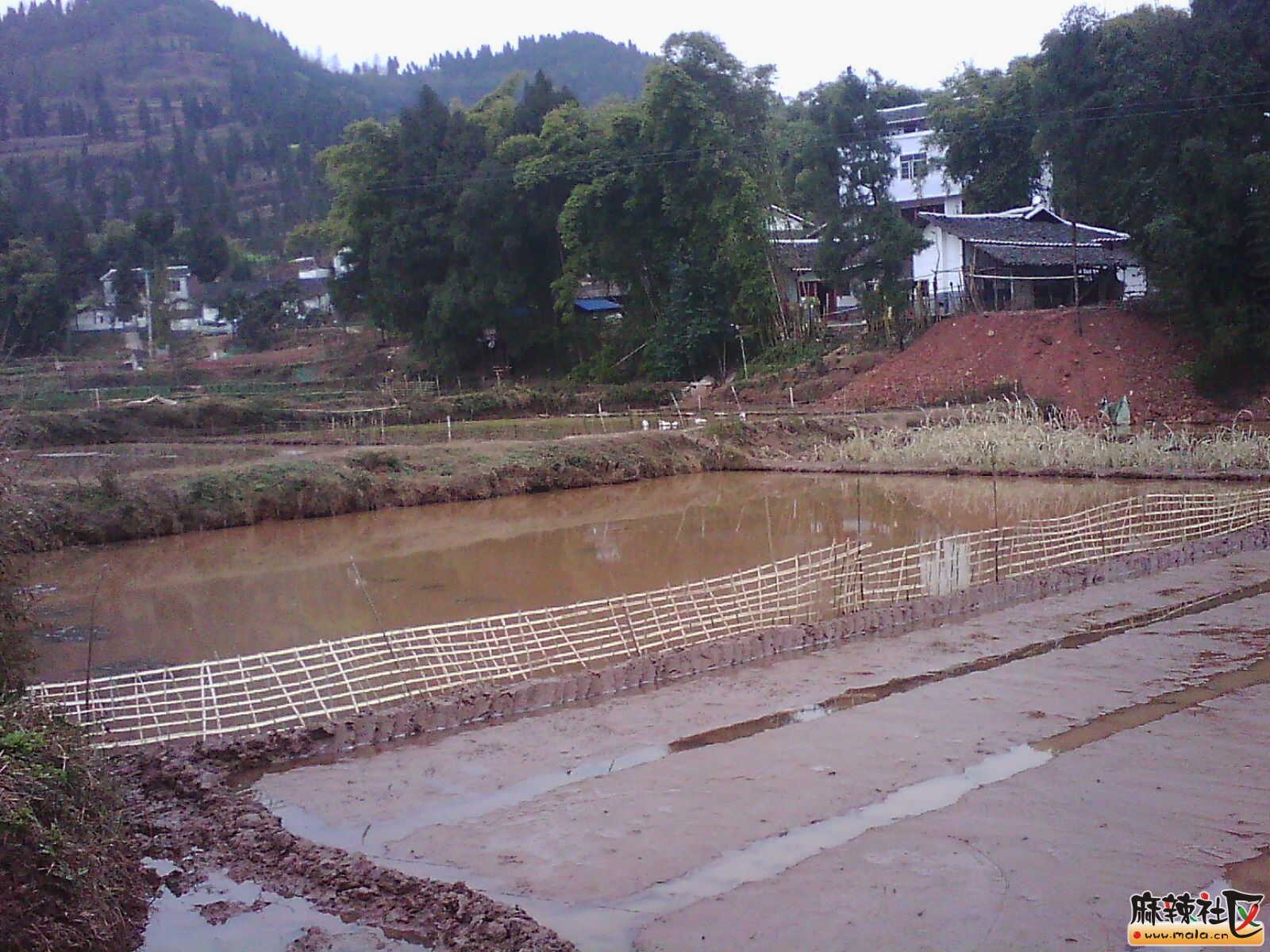 IMG19746.jpg