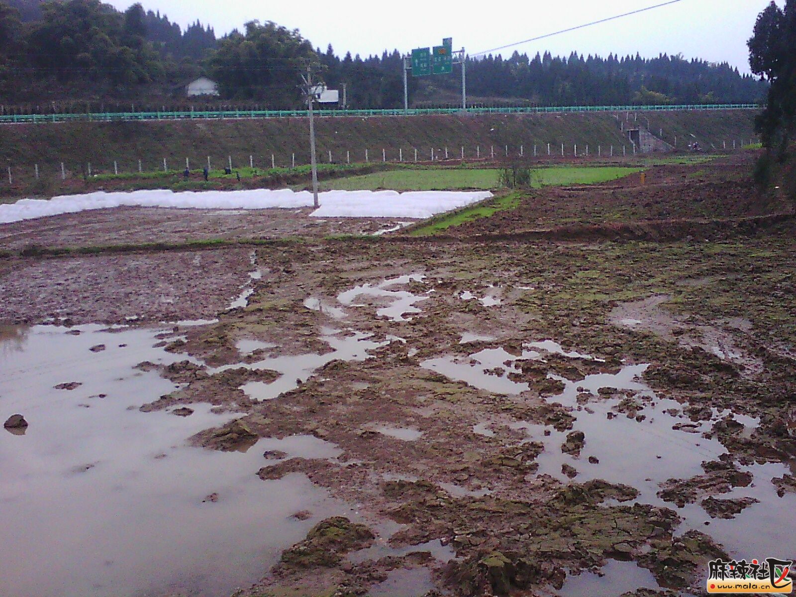 IMG19758.jpg