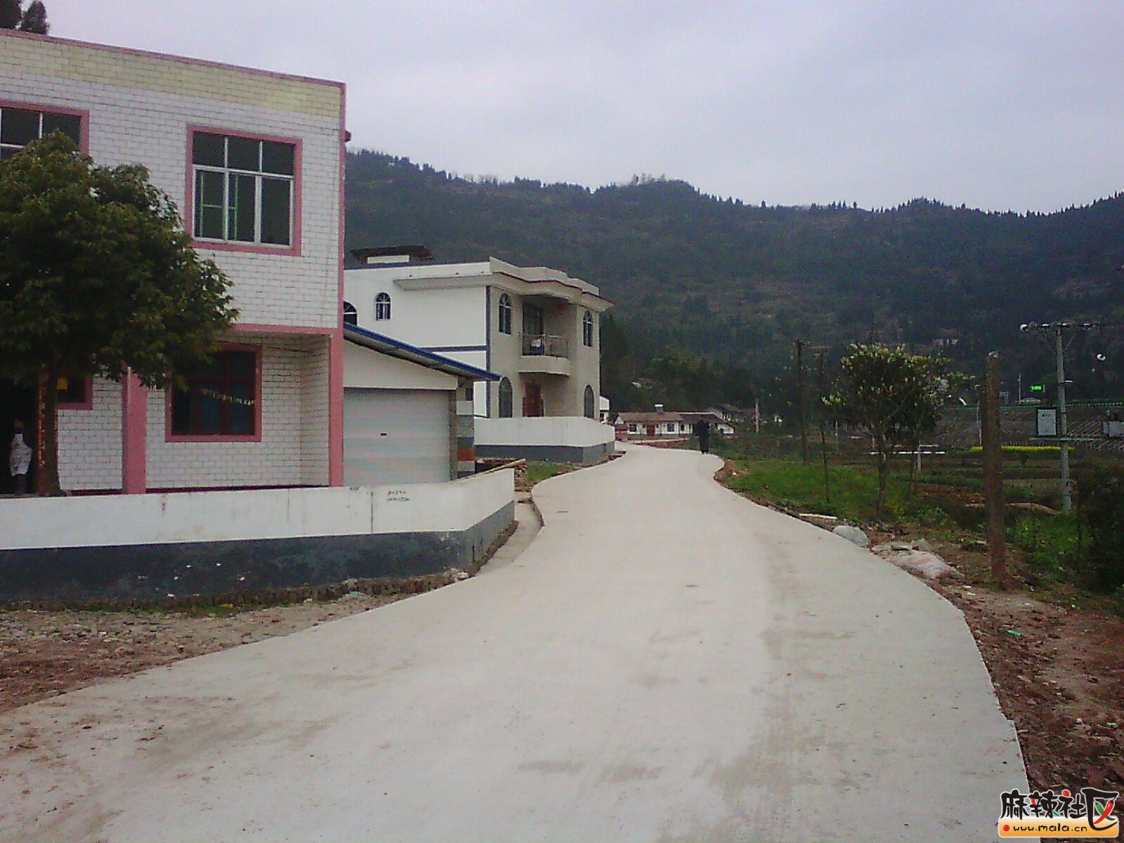 IMG19759.jpg