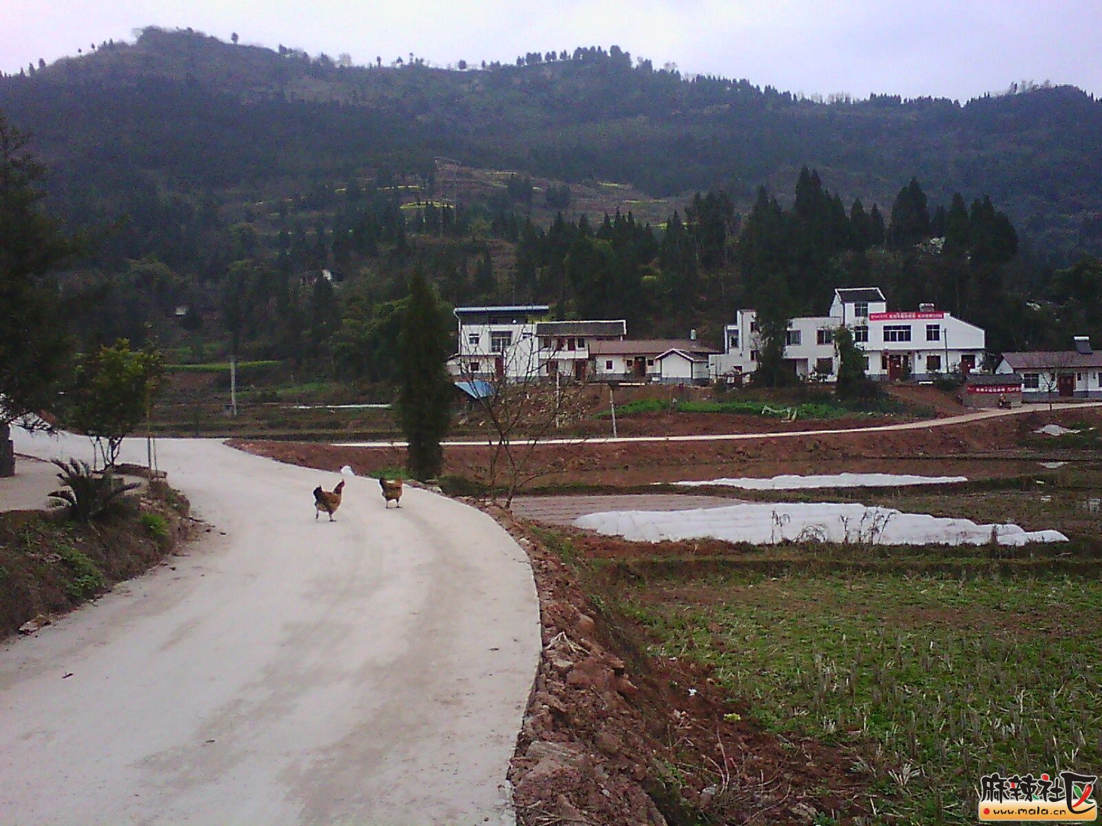 IMG19761.jpg