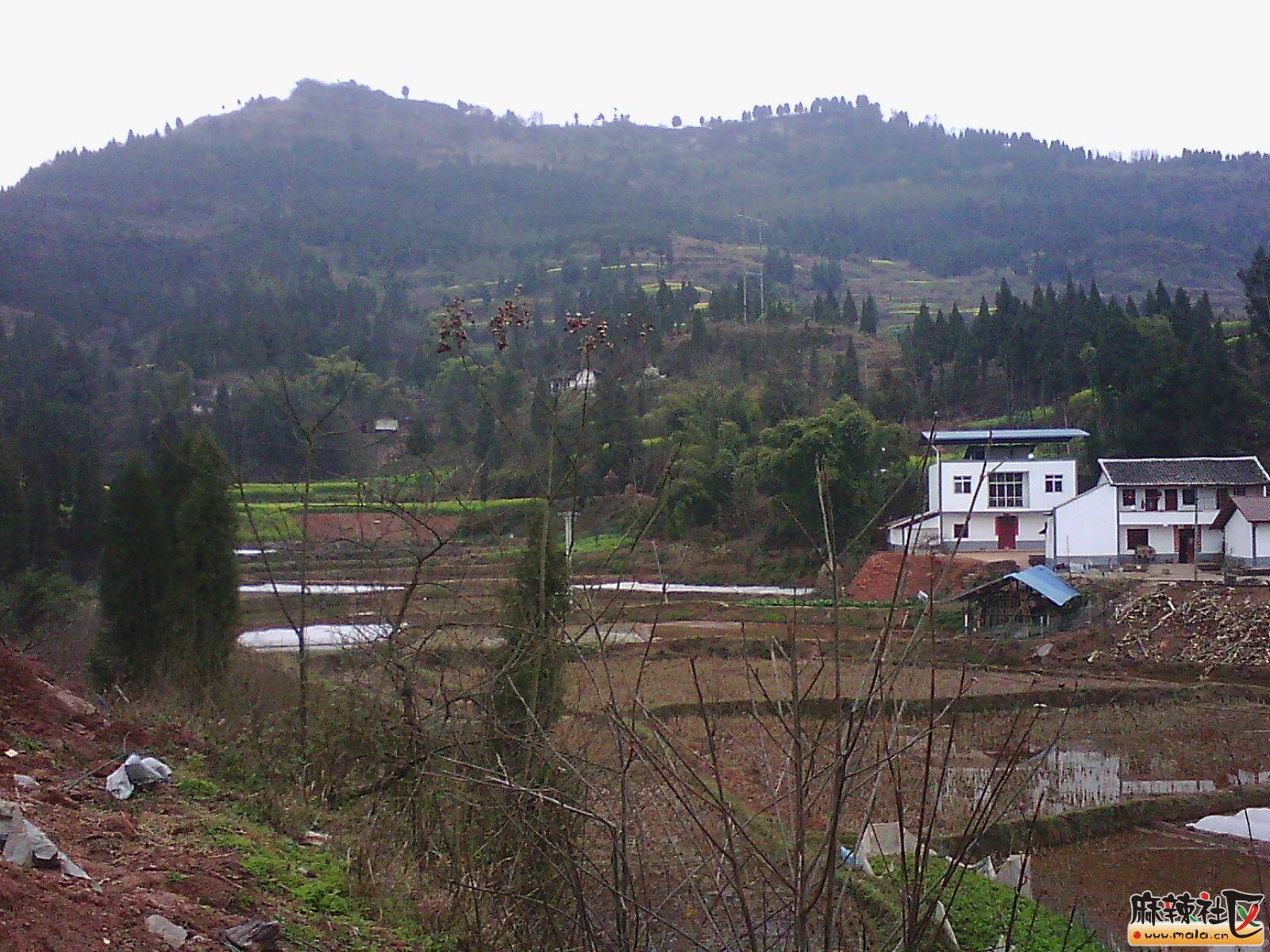 IMG19764.jpg
