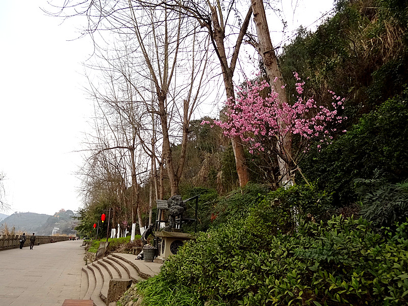 DSC06093_.jpg