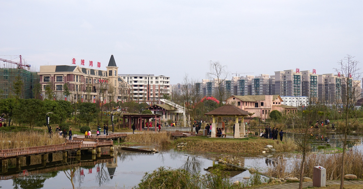 DSC00939_.jpg