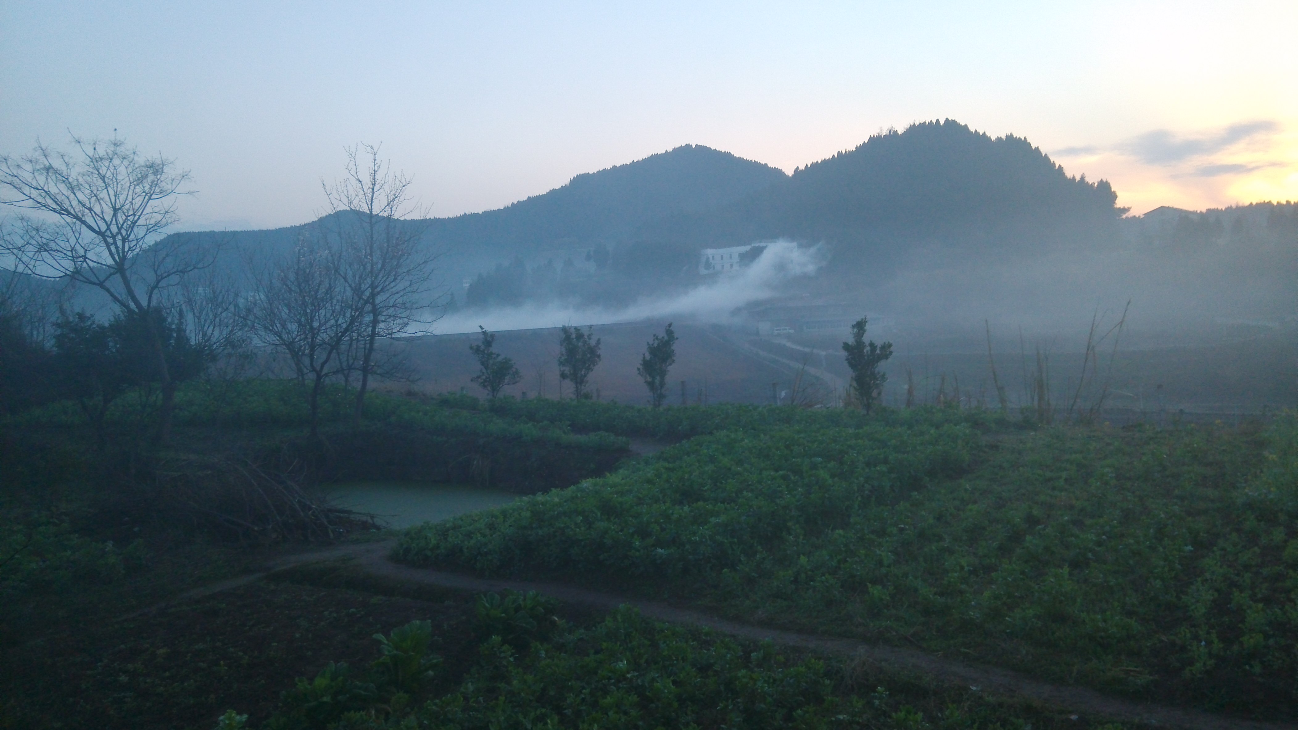 西充论坛 麻辣社区-四川第一网络社区