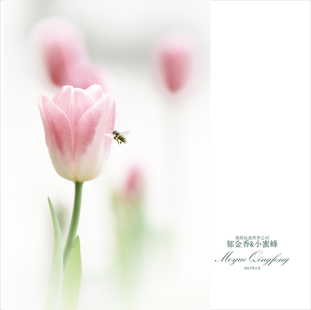 &С۷-04.jpg