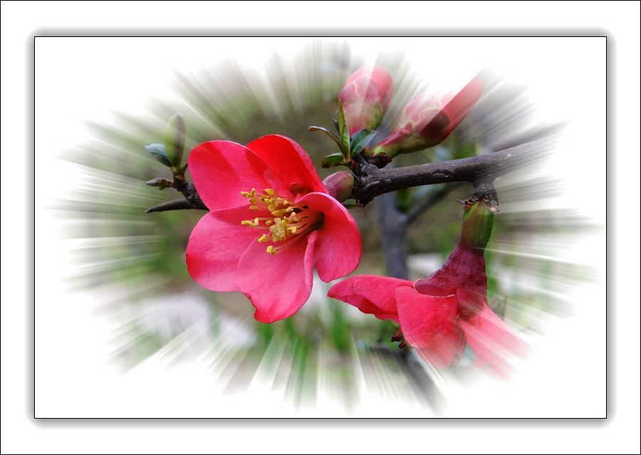 DSCF8762__.jpg