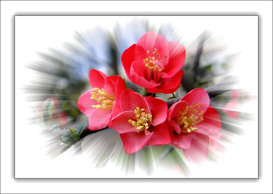 DSCF8779__.jpg