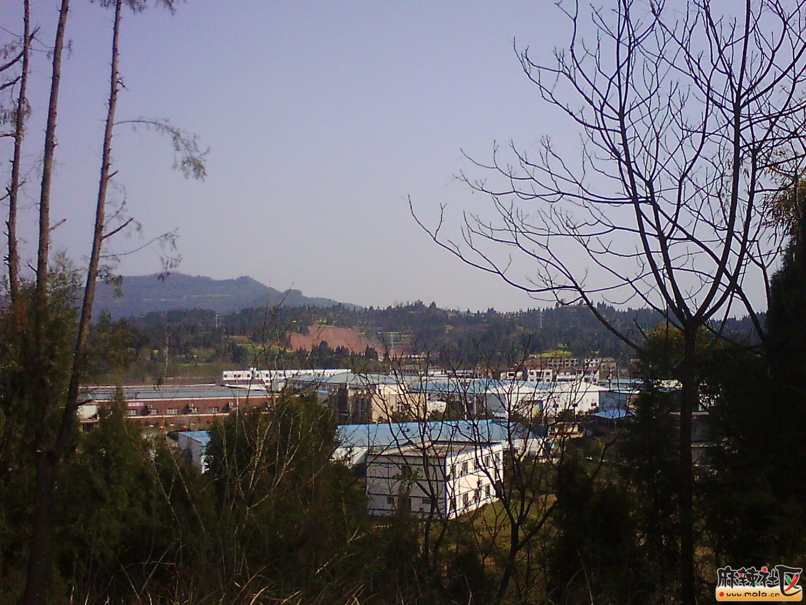 IMG19835.jpg