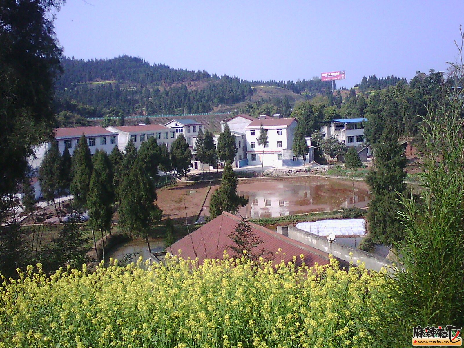IMG19844.jpg