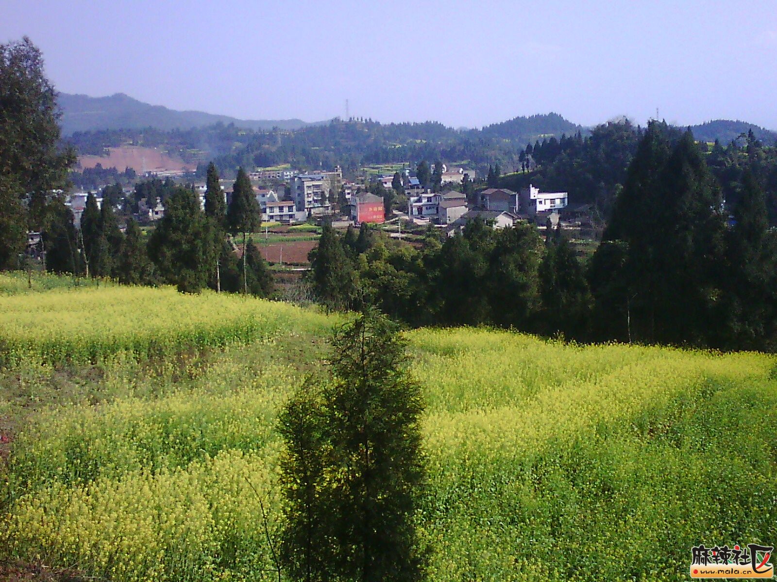 IMG19852.jpg