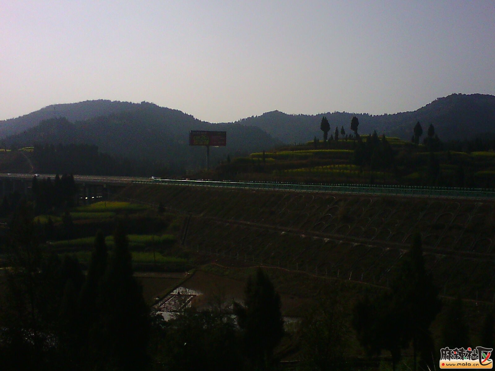 IMG19855.jpg