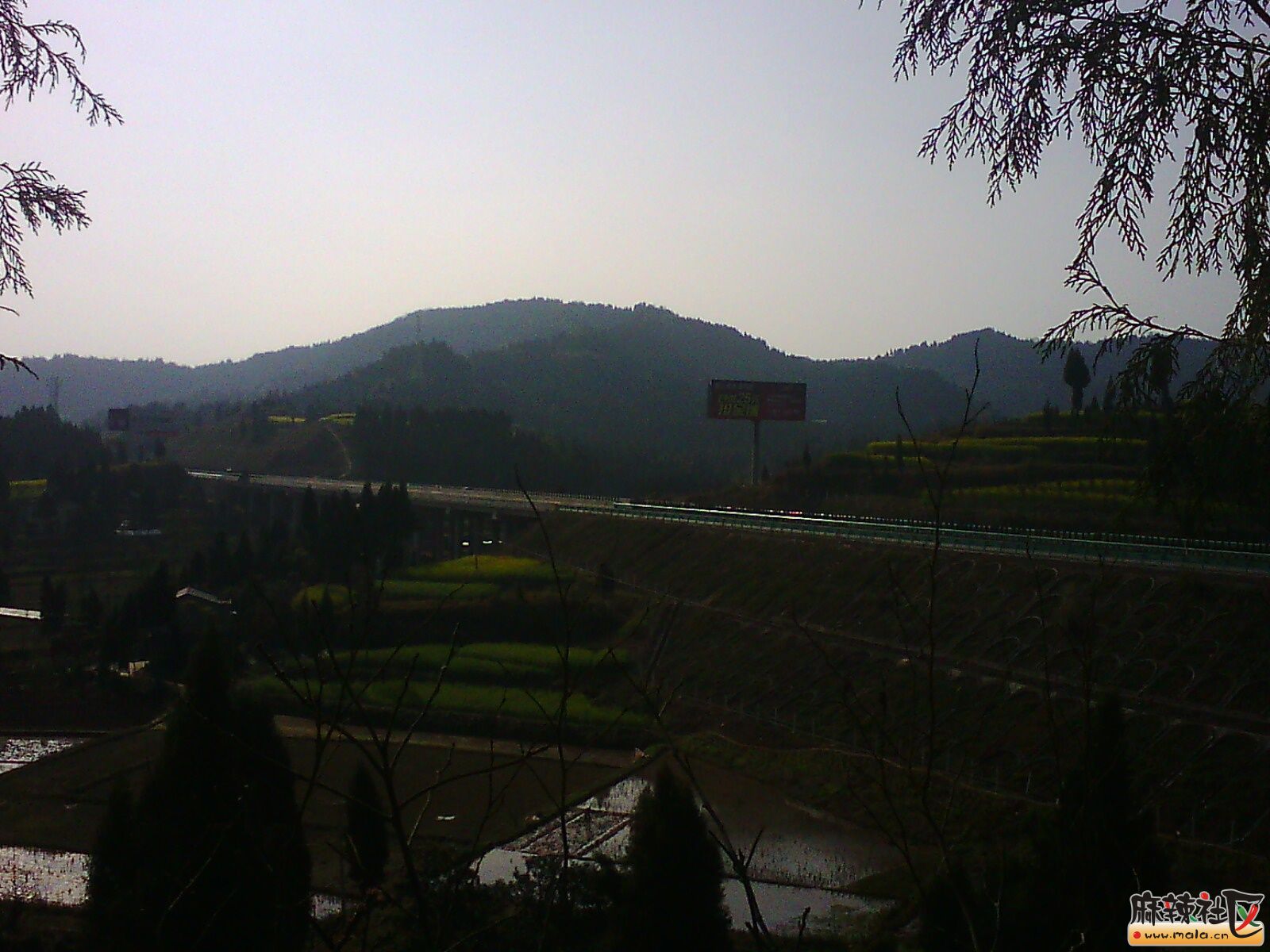 IMG19856.jpg