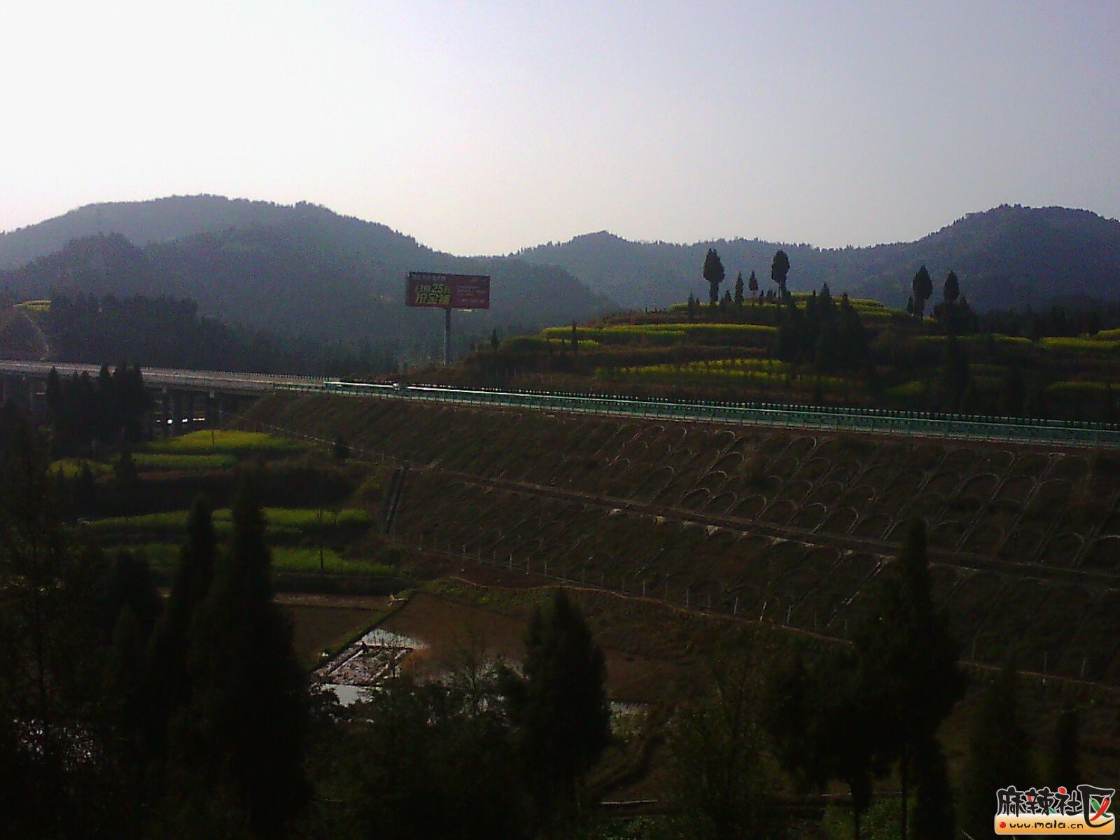 IMG19857.jpg