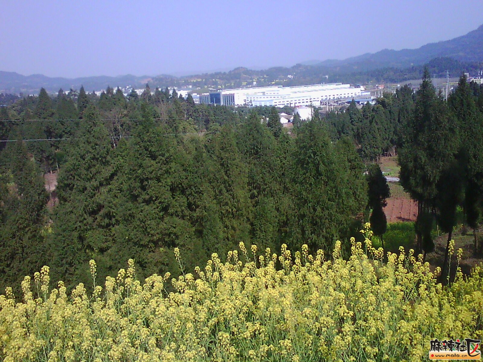 IMG19861.jpg