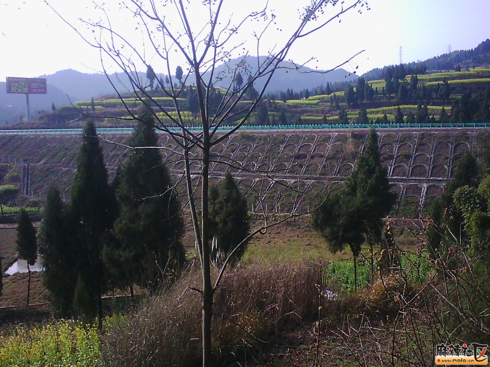 IMG19874.jpg
