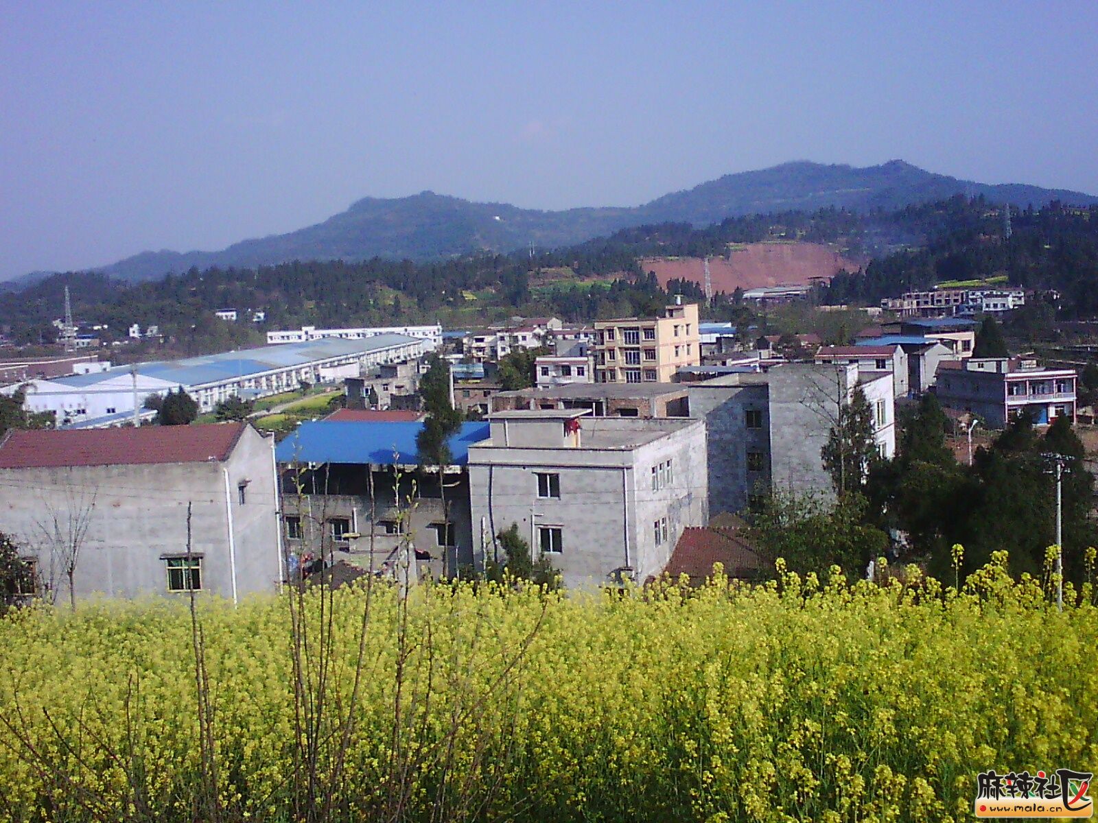 IMG19890.jpg
