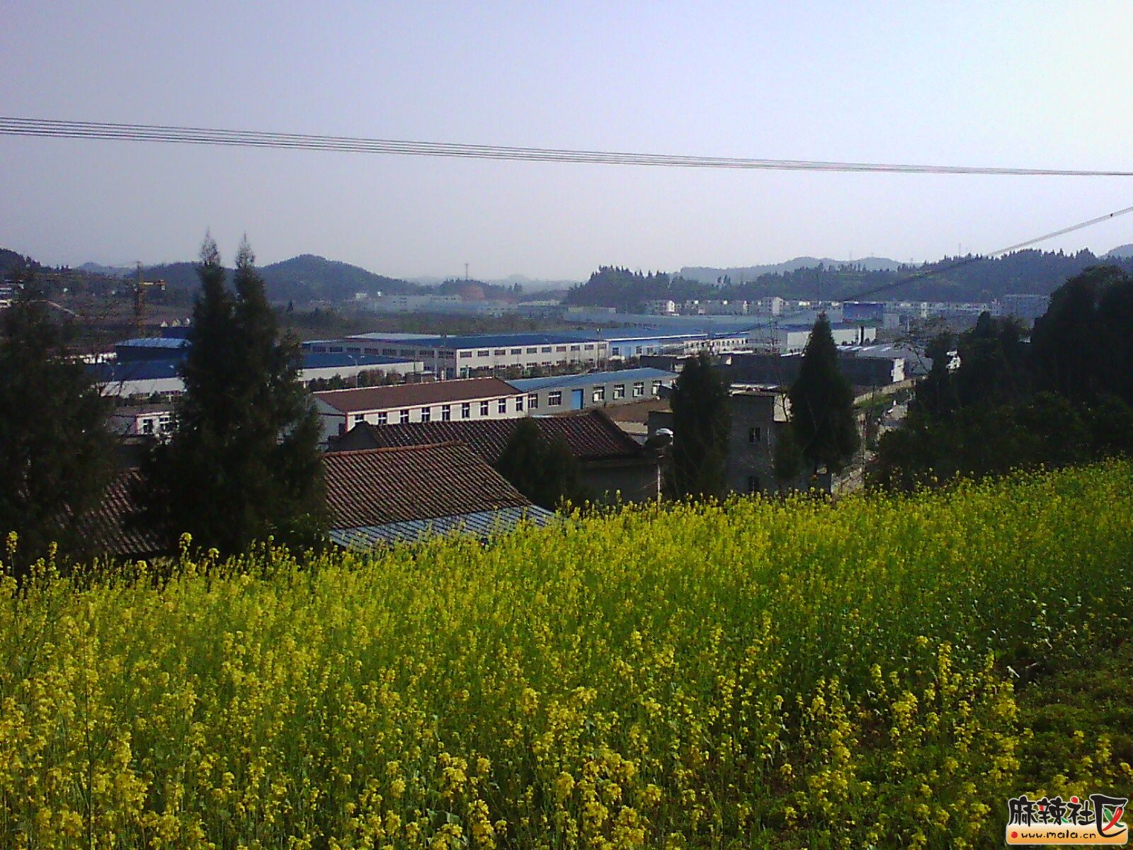IMG19900.jpg