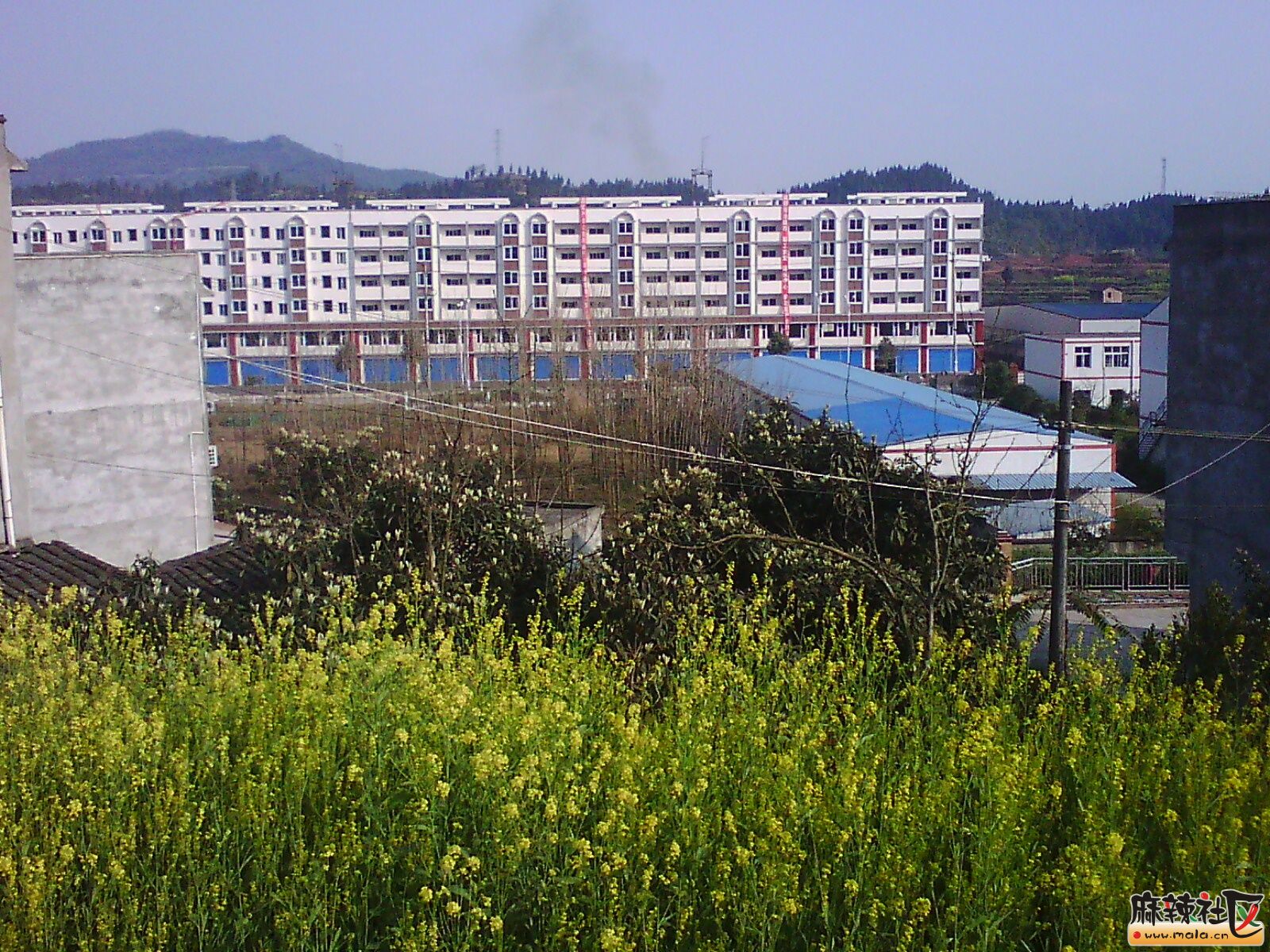 IMG19902.jpg