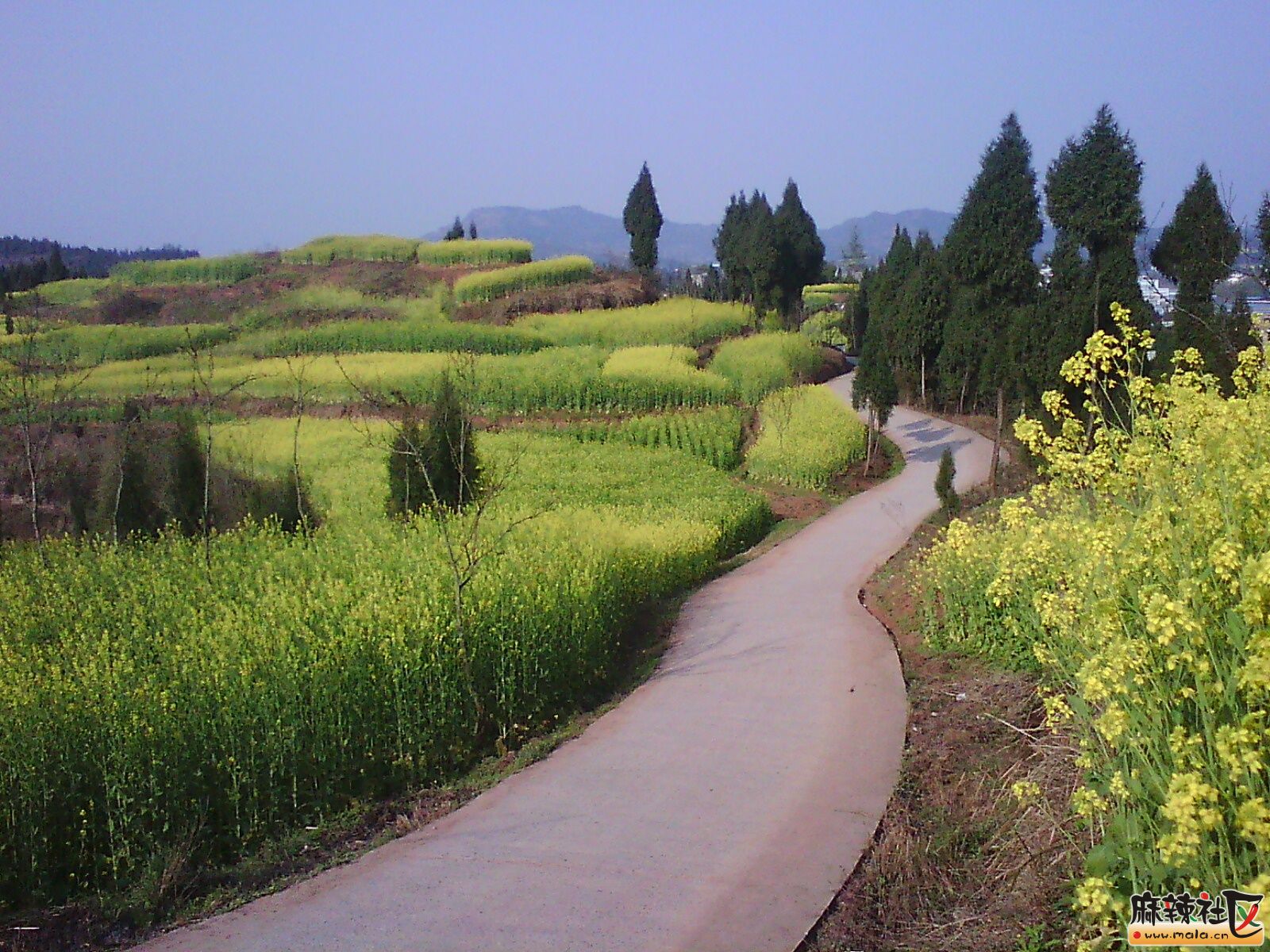 IMG19910.jpg
