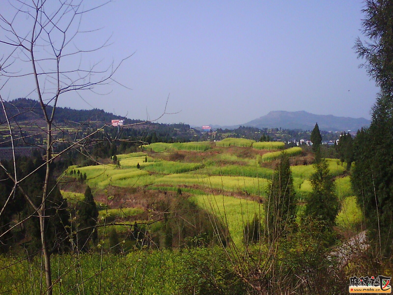 IMG19914.jpg