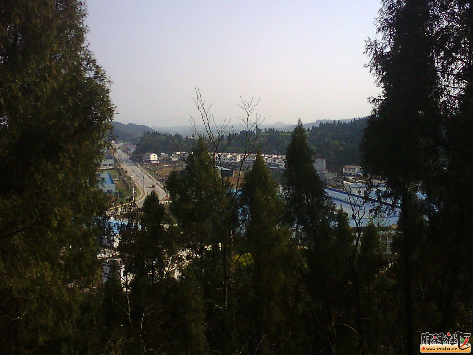 IMG19918.jpg