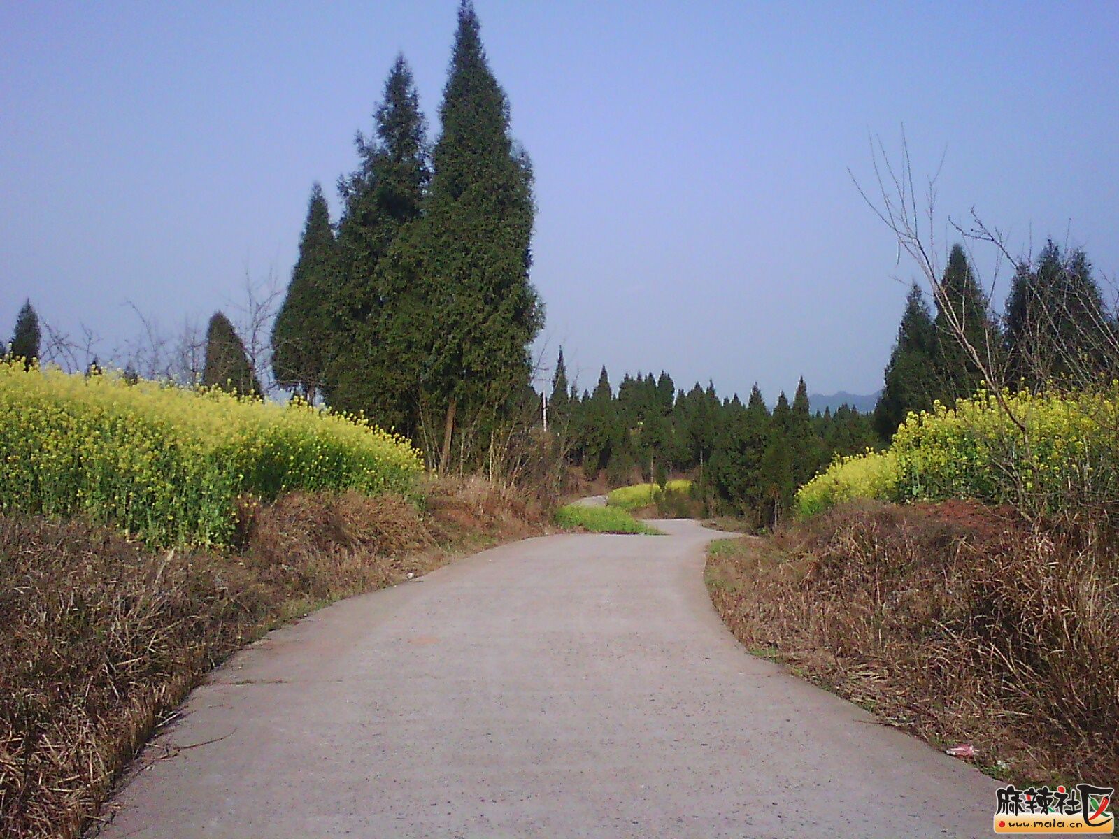IMG19919.jpg