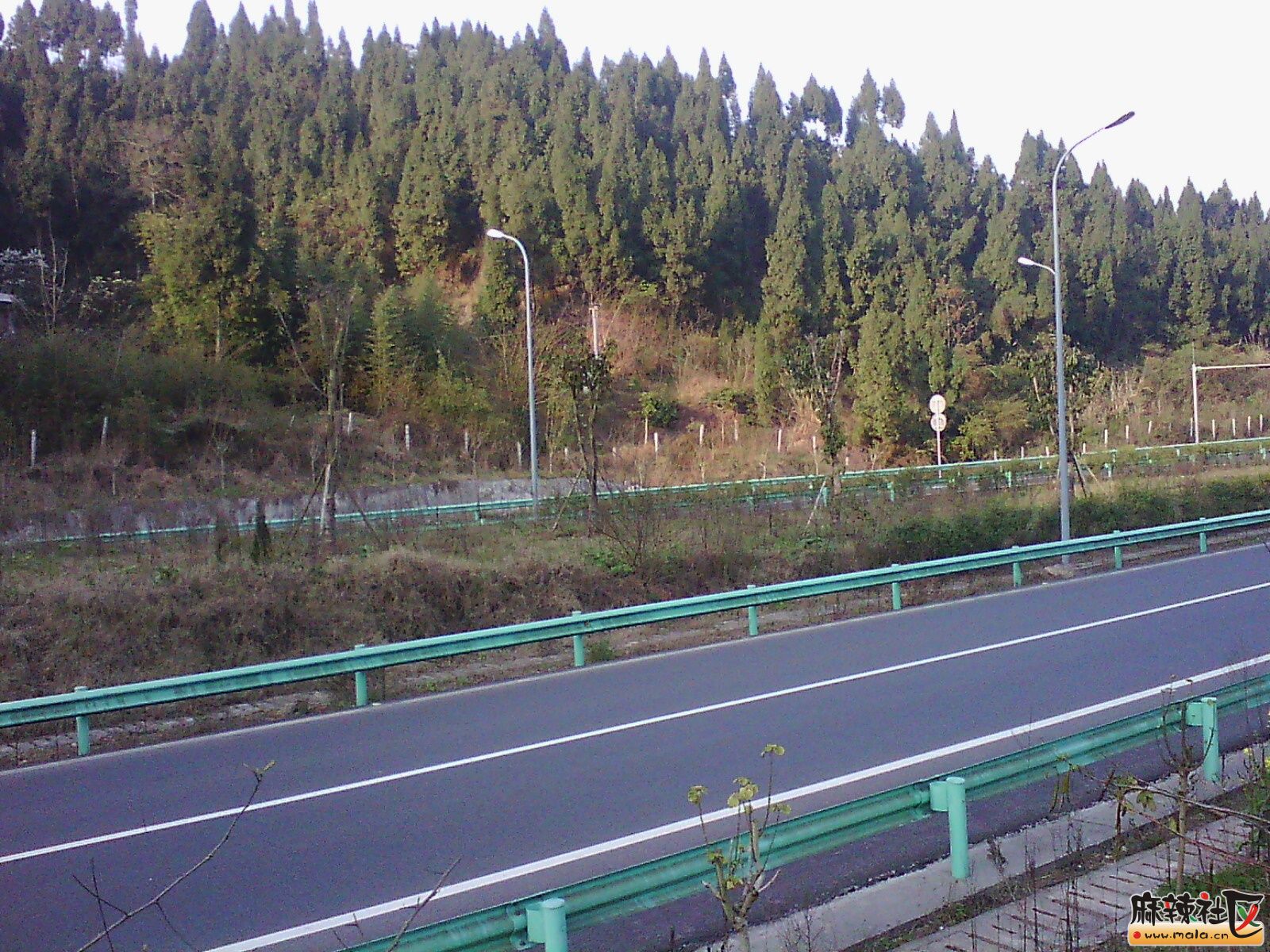 IMG19954.jpg