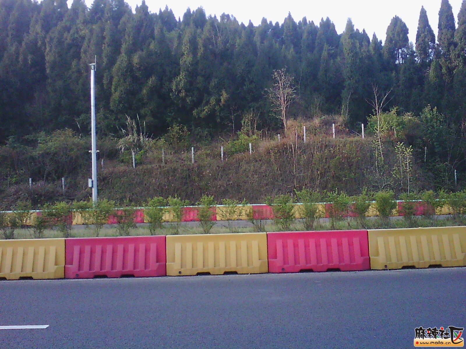 IMG00006.jpg