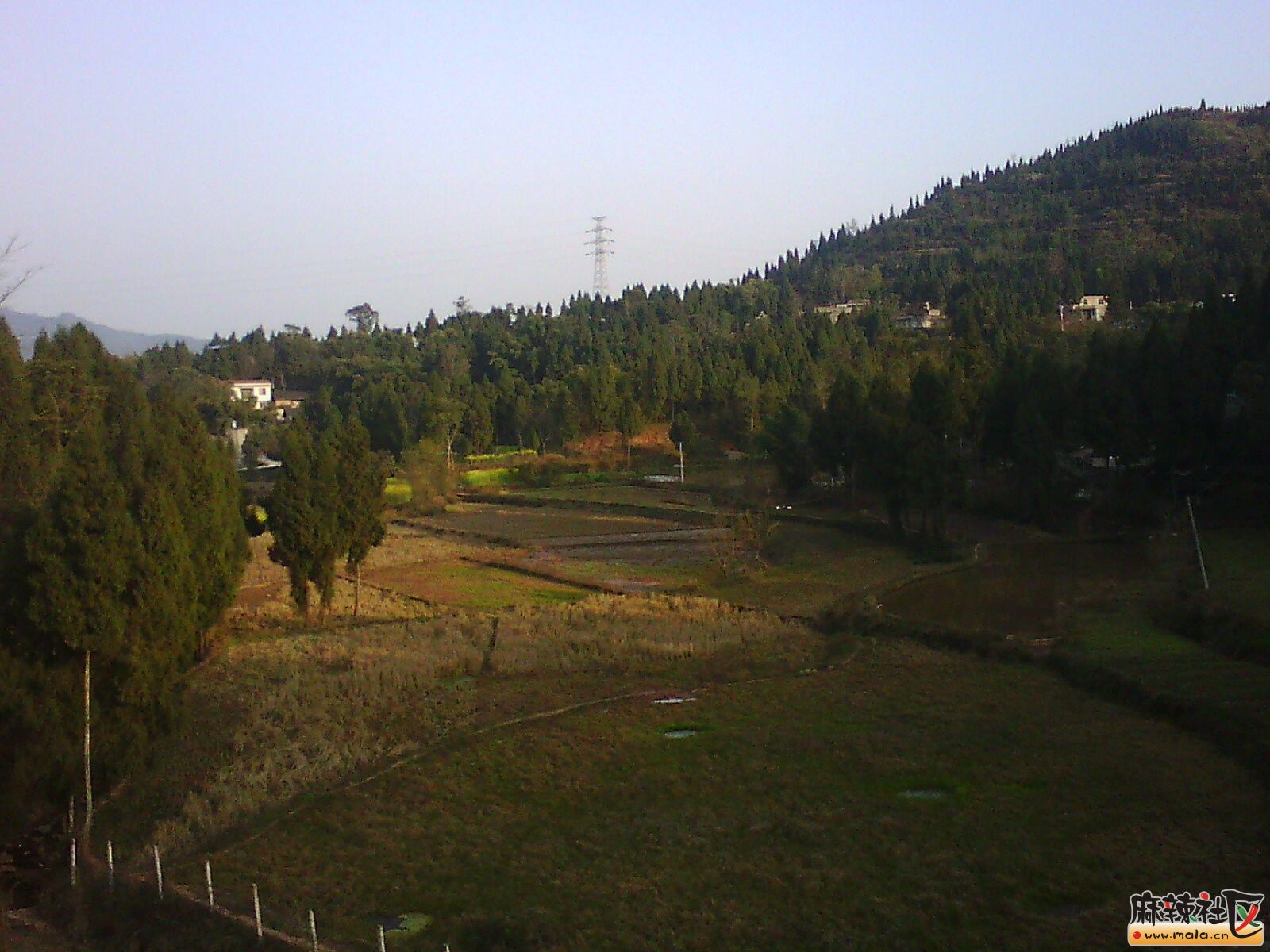 IMG00008.jpg
