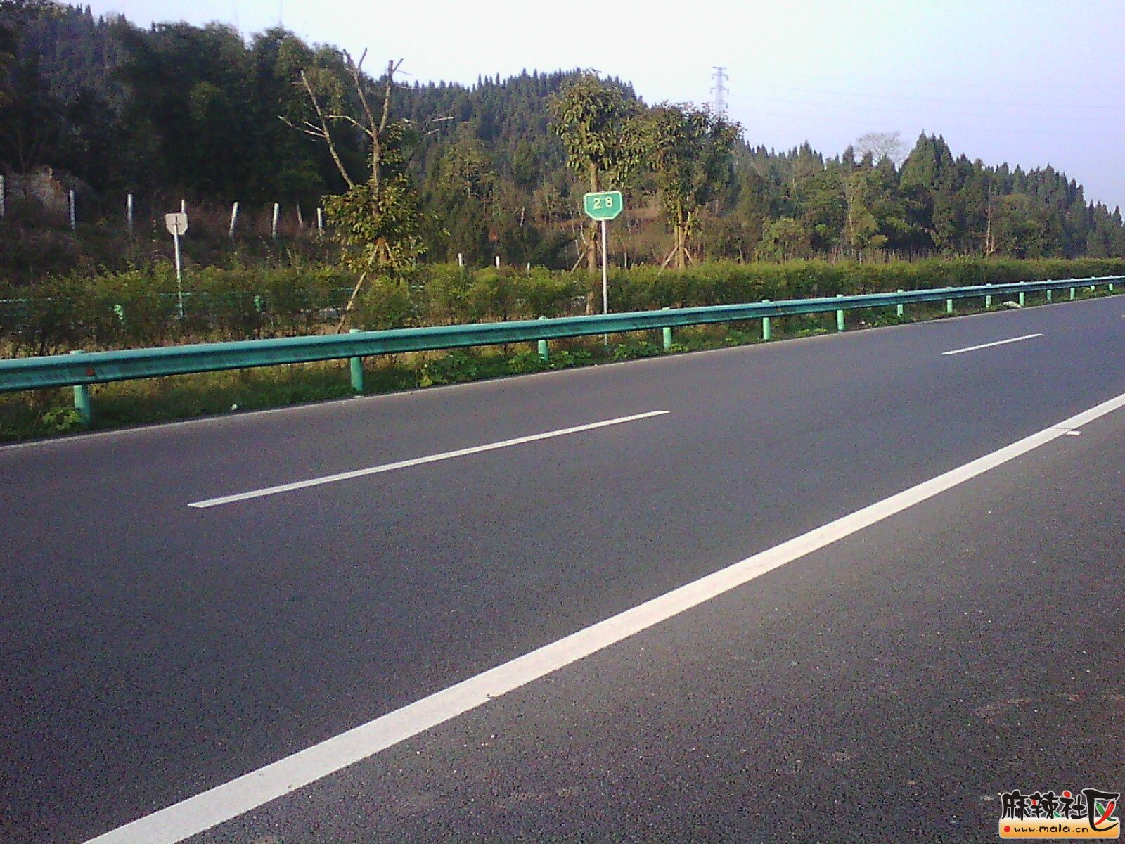 IMG00016.jpg