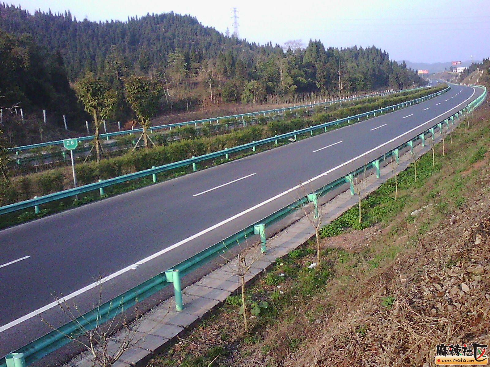 IMG00019.jpg