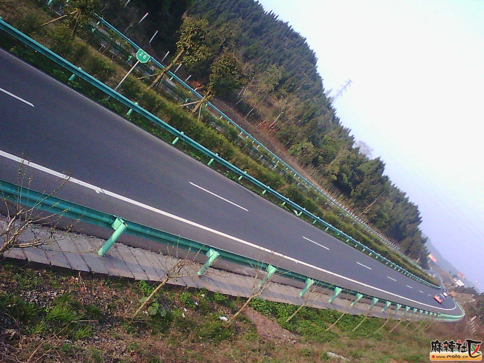 IMG00020.jpg
