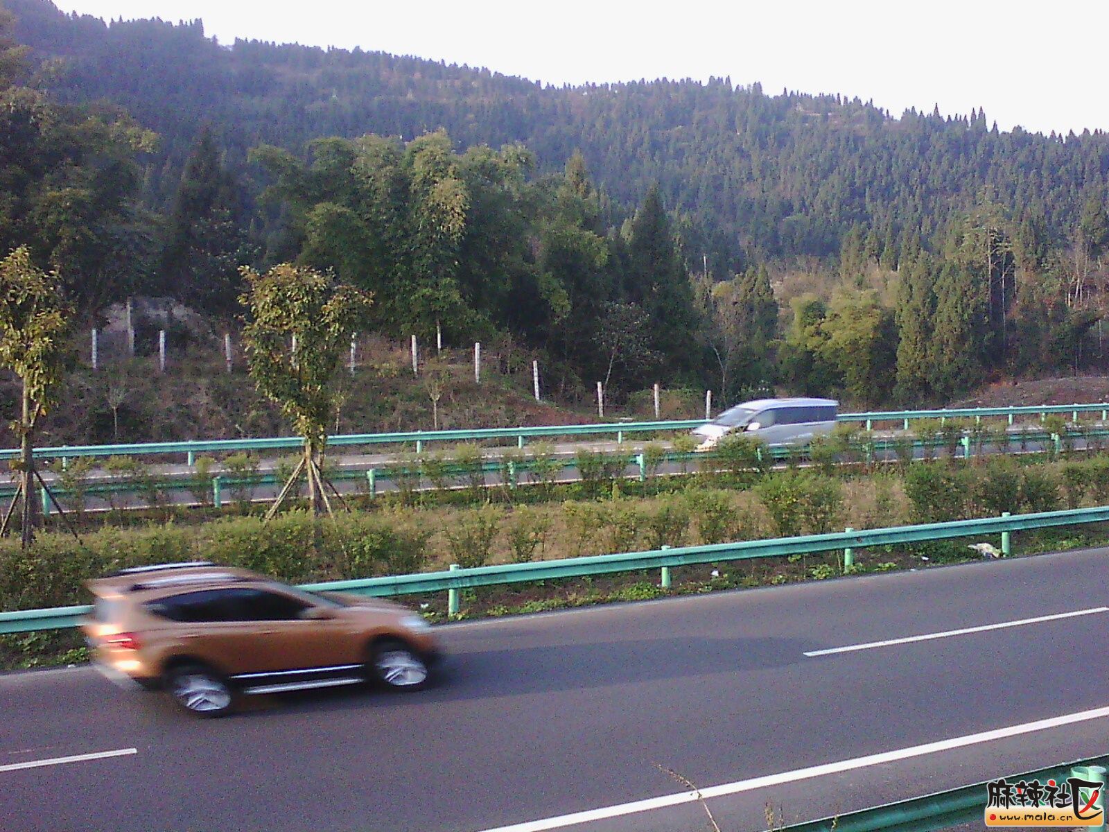IMG00022.jpg