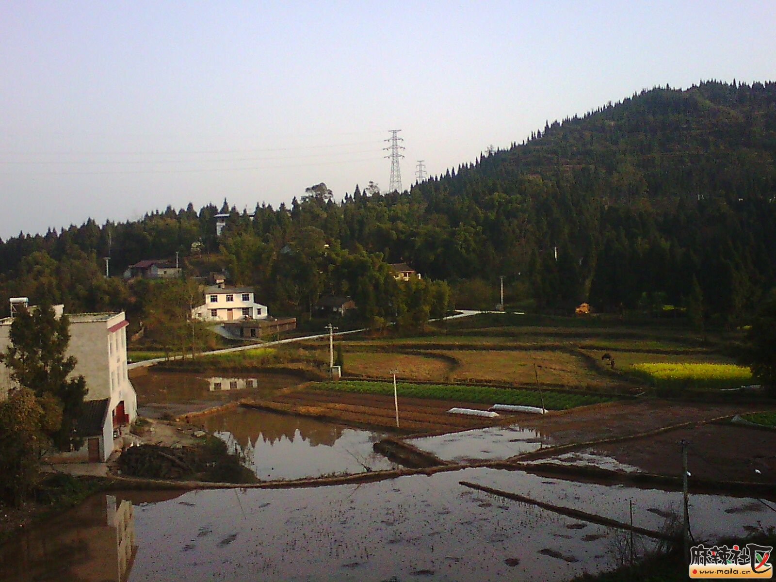 IMG00026.jpg