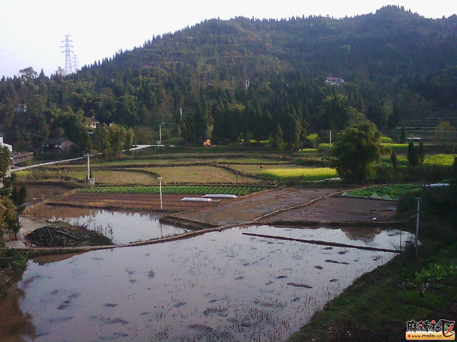 IMG00028.jpg