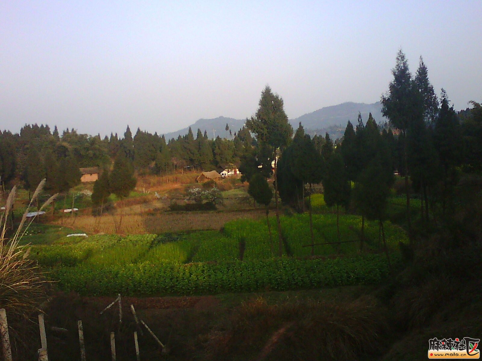 IMG00046.jpg