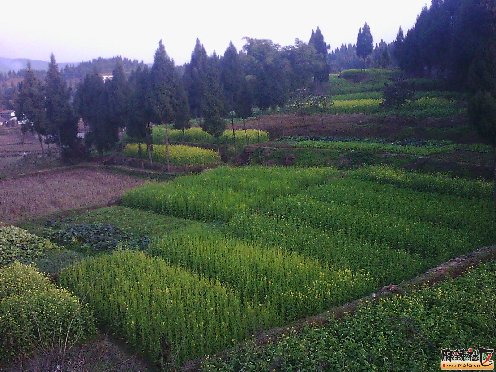 IMG00047.jpg