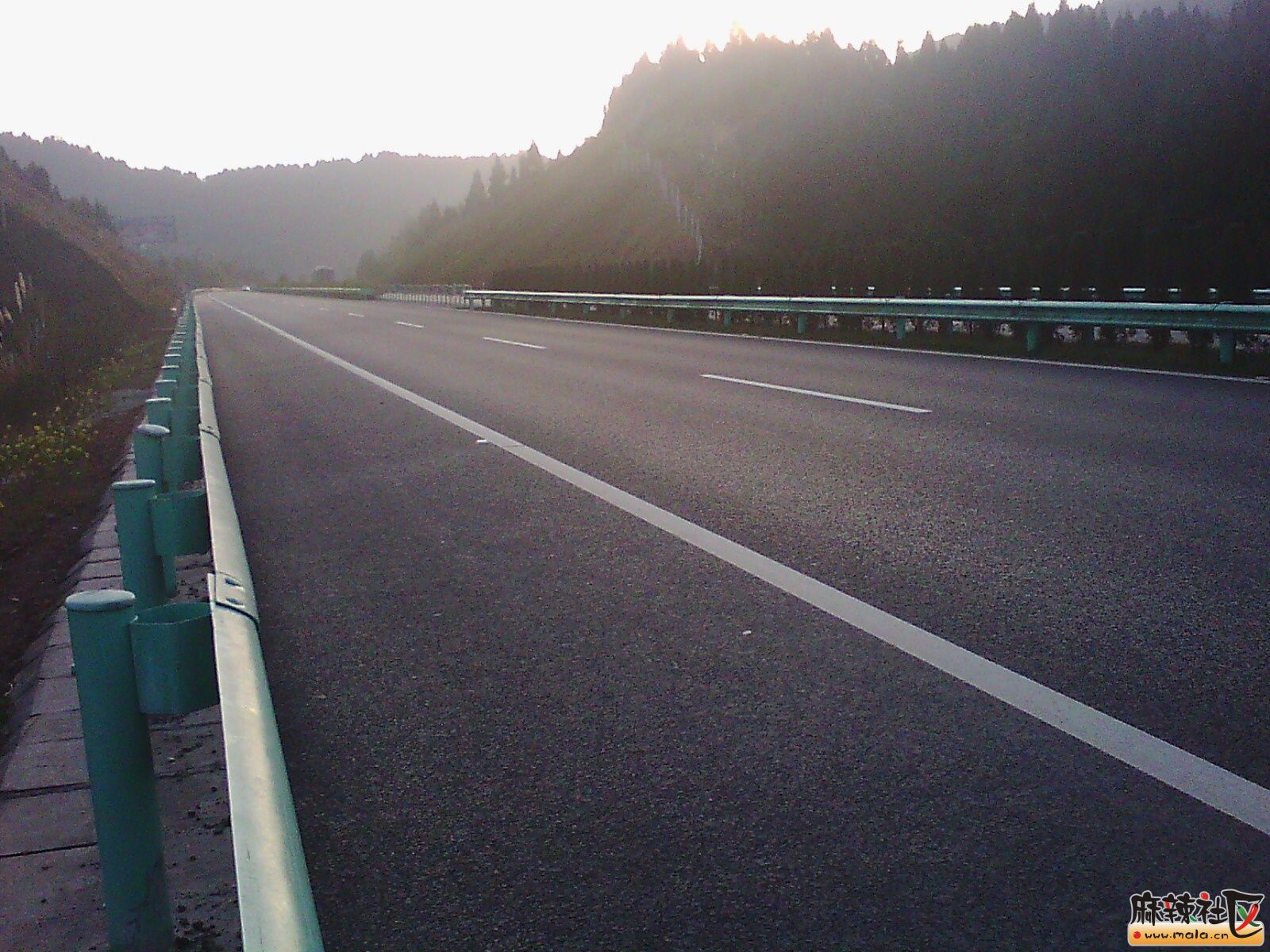 IMG00049.jpg