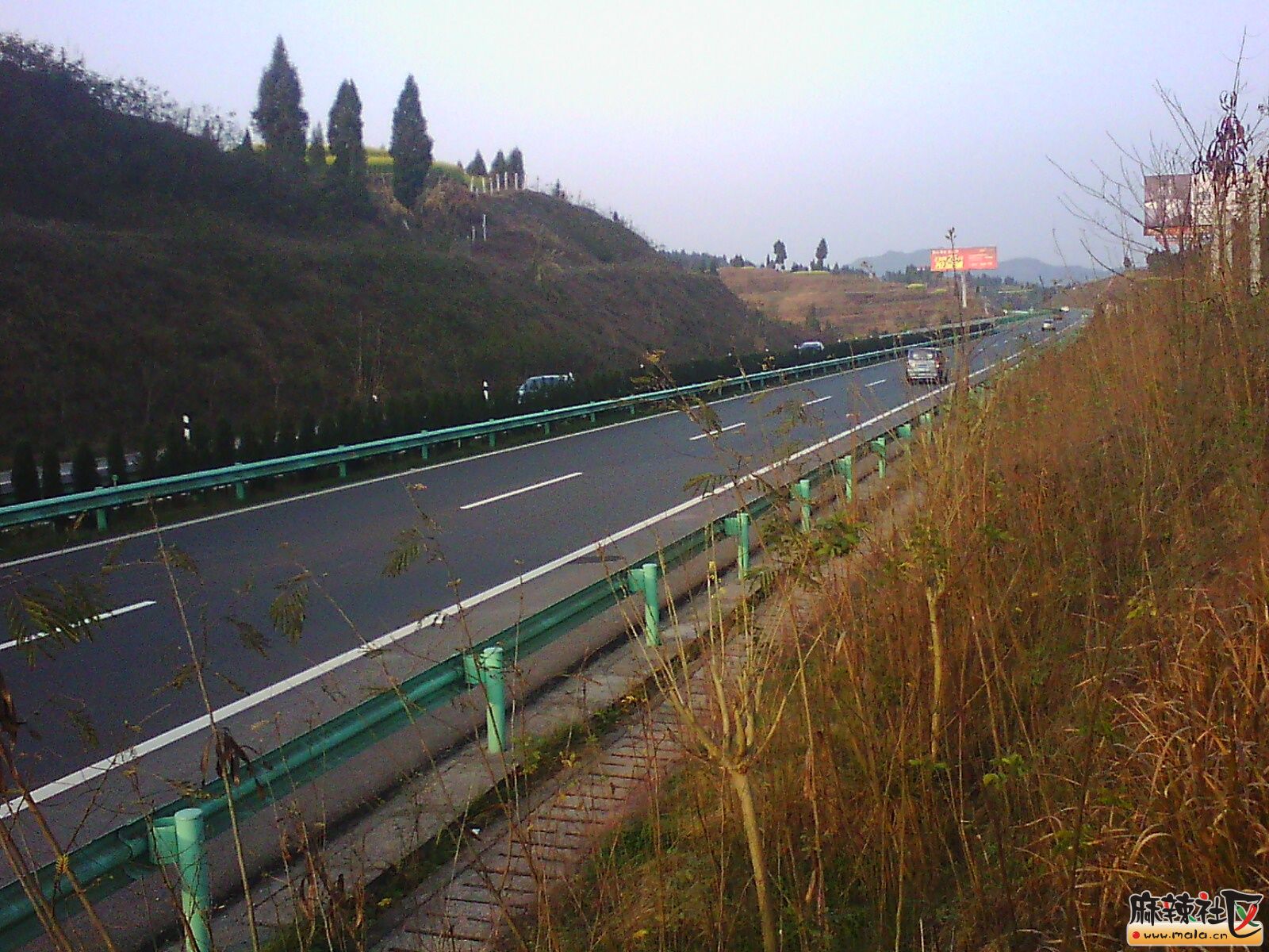 IMG00051.jpg