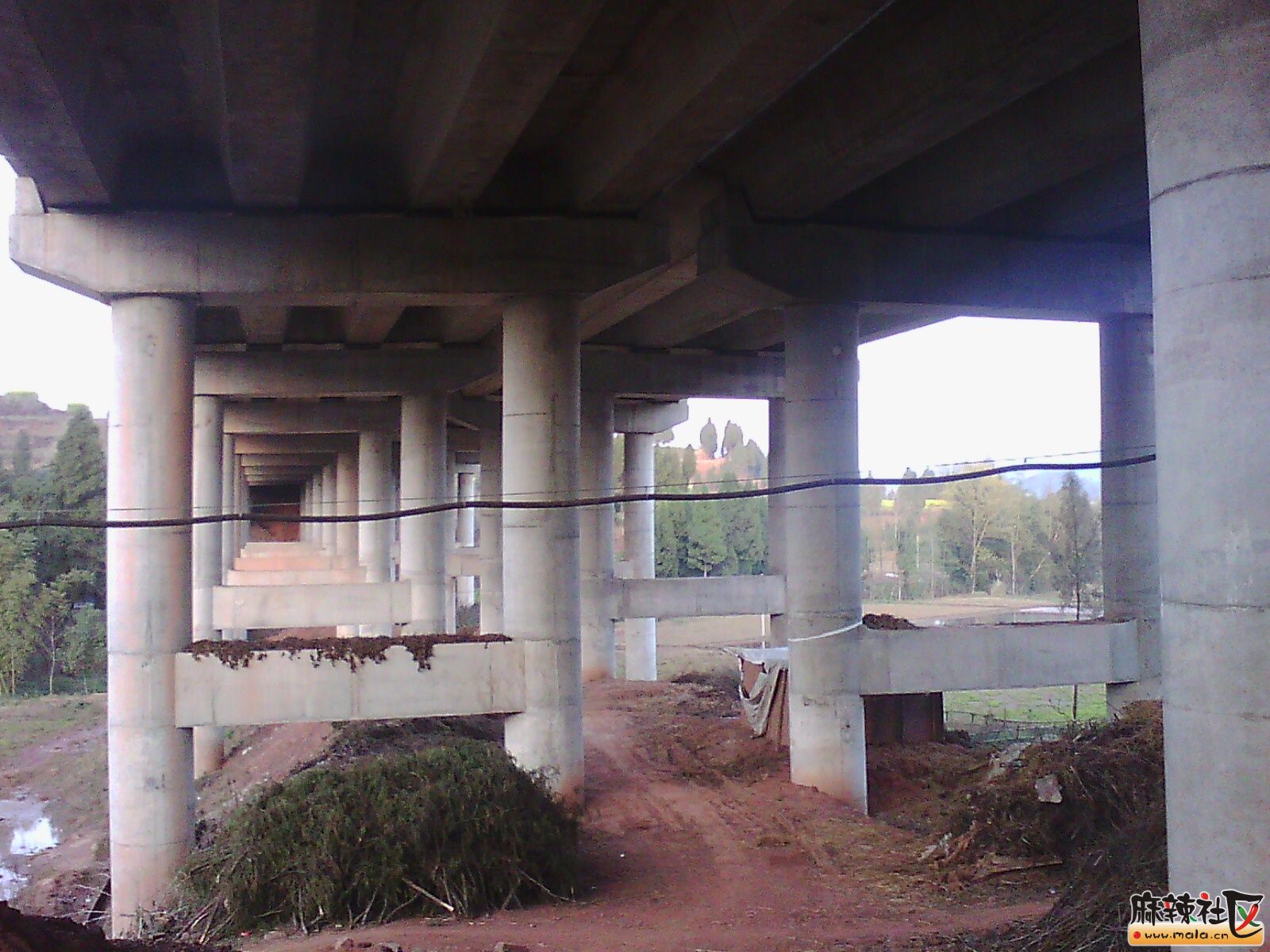 IMG00061.jpg
