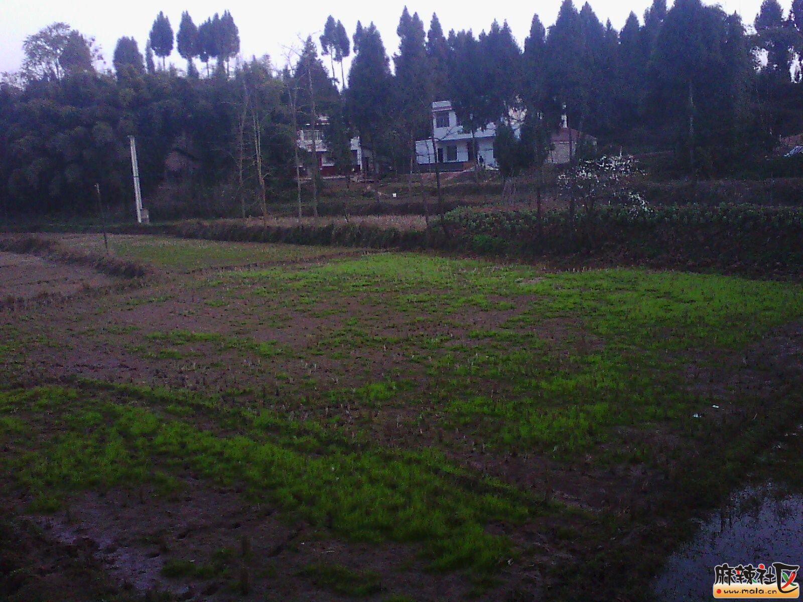 IMG00067.jpg