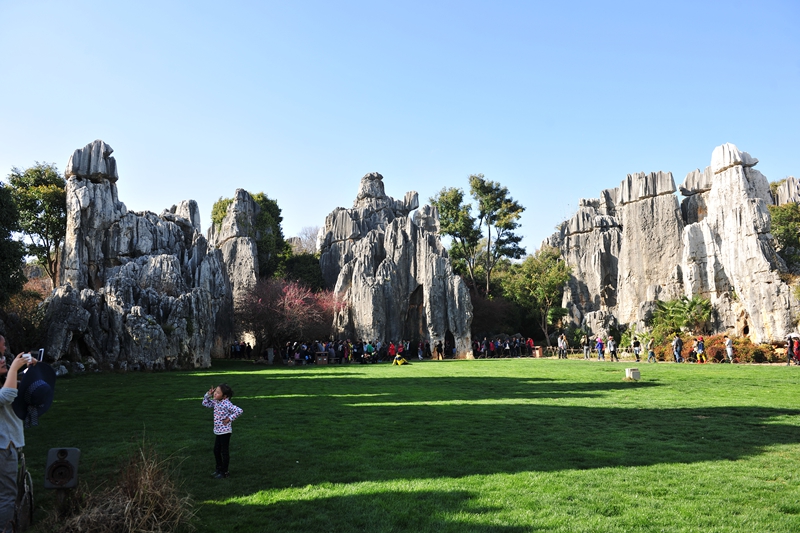 DSC_1760.JPG