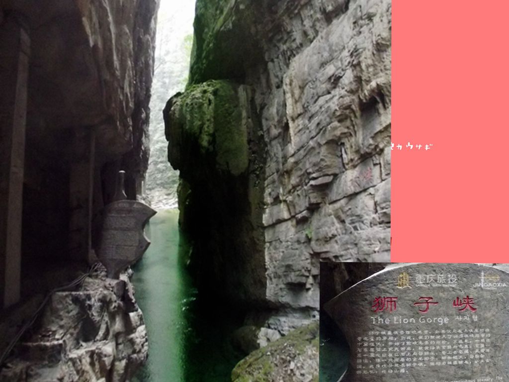 DSCF0892.JPG